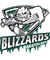 Blizzards